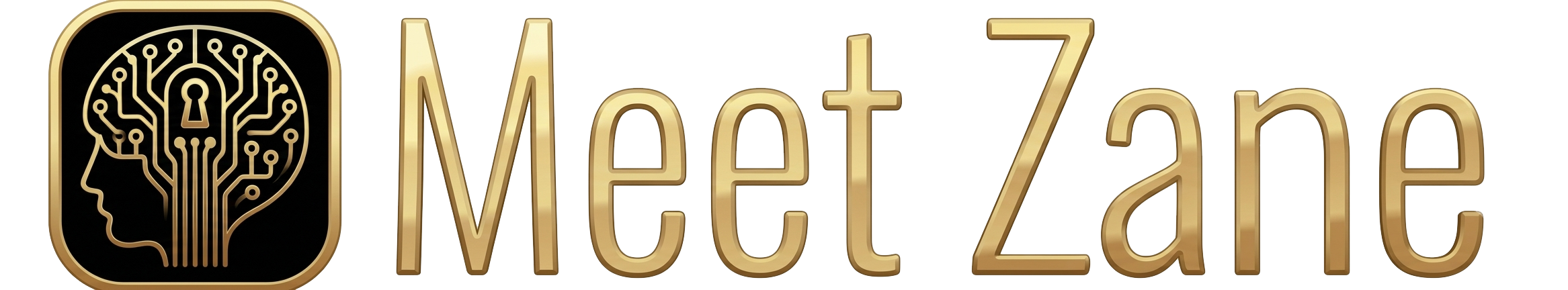 Meetzane
